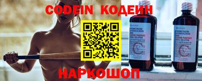 гашик Моздок