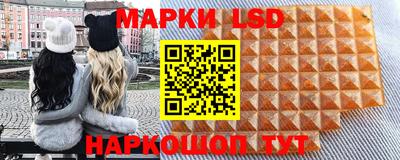 гашик Моздок