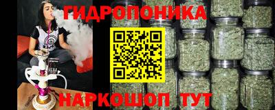 гашик Моздок