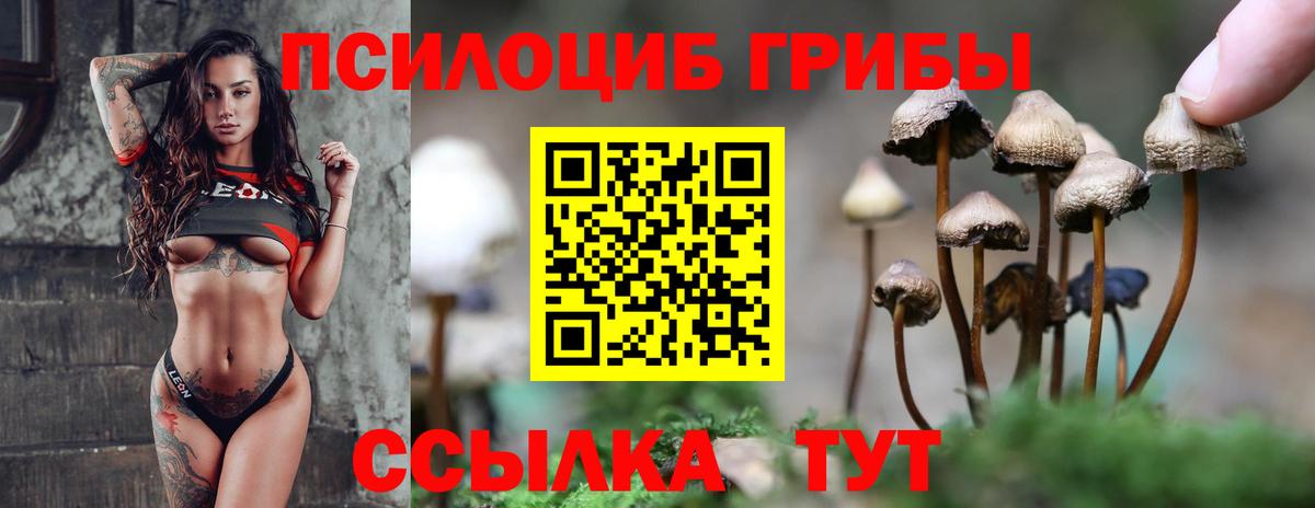 Галлюциногенные грибы мицелий Сыктывкар
