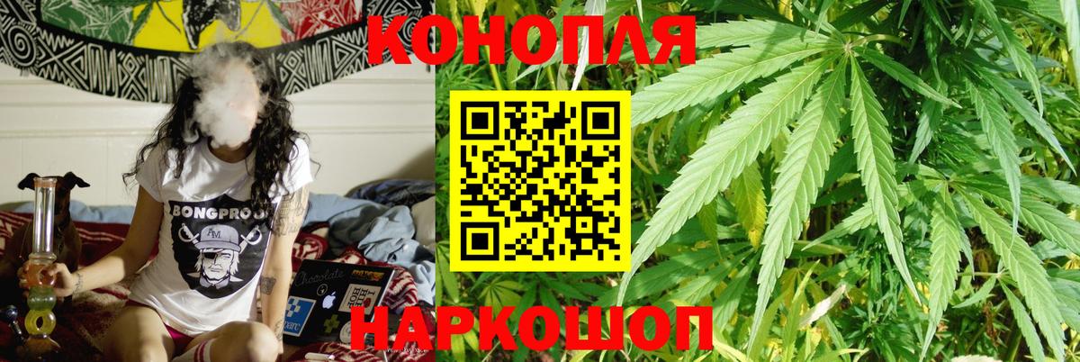 Марихуана планчик  МАРИХУАНА конопля  Сыктывкар  Вход с VPN 